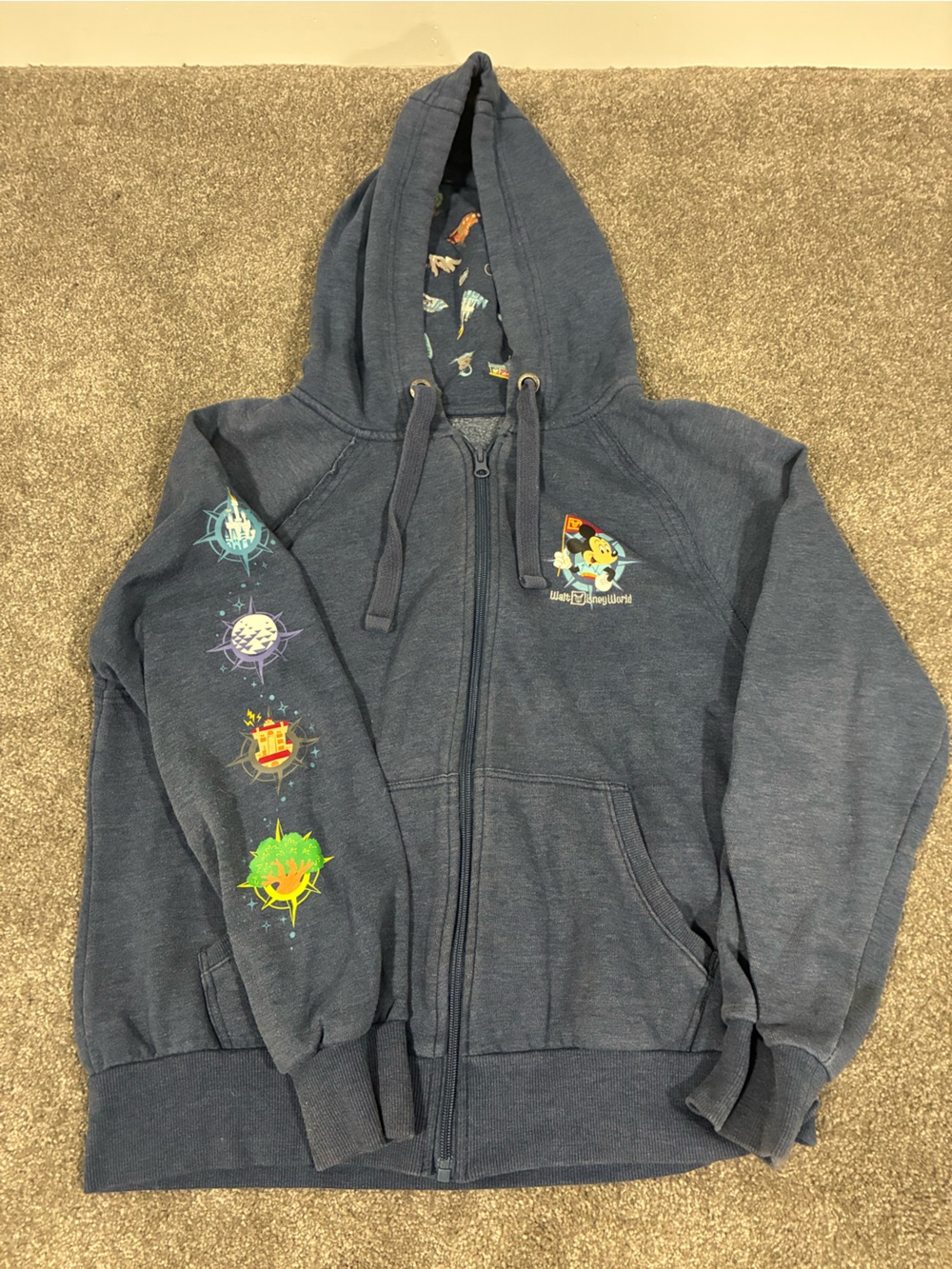 Disney Parks 4 park icon hoodie